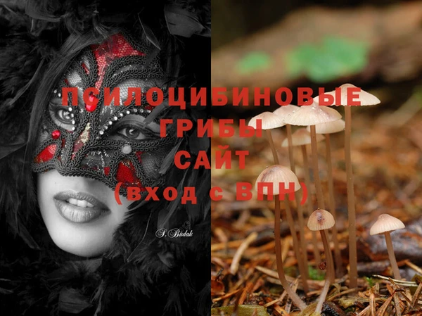 spice Абинск