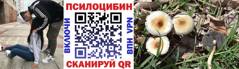 KRAKEN ссылка  Азов  Псилоцибиновые грибы Cubensis 